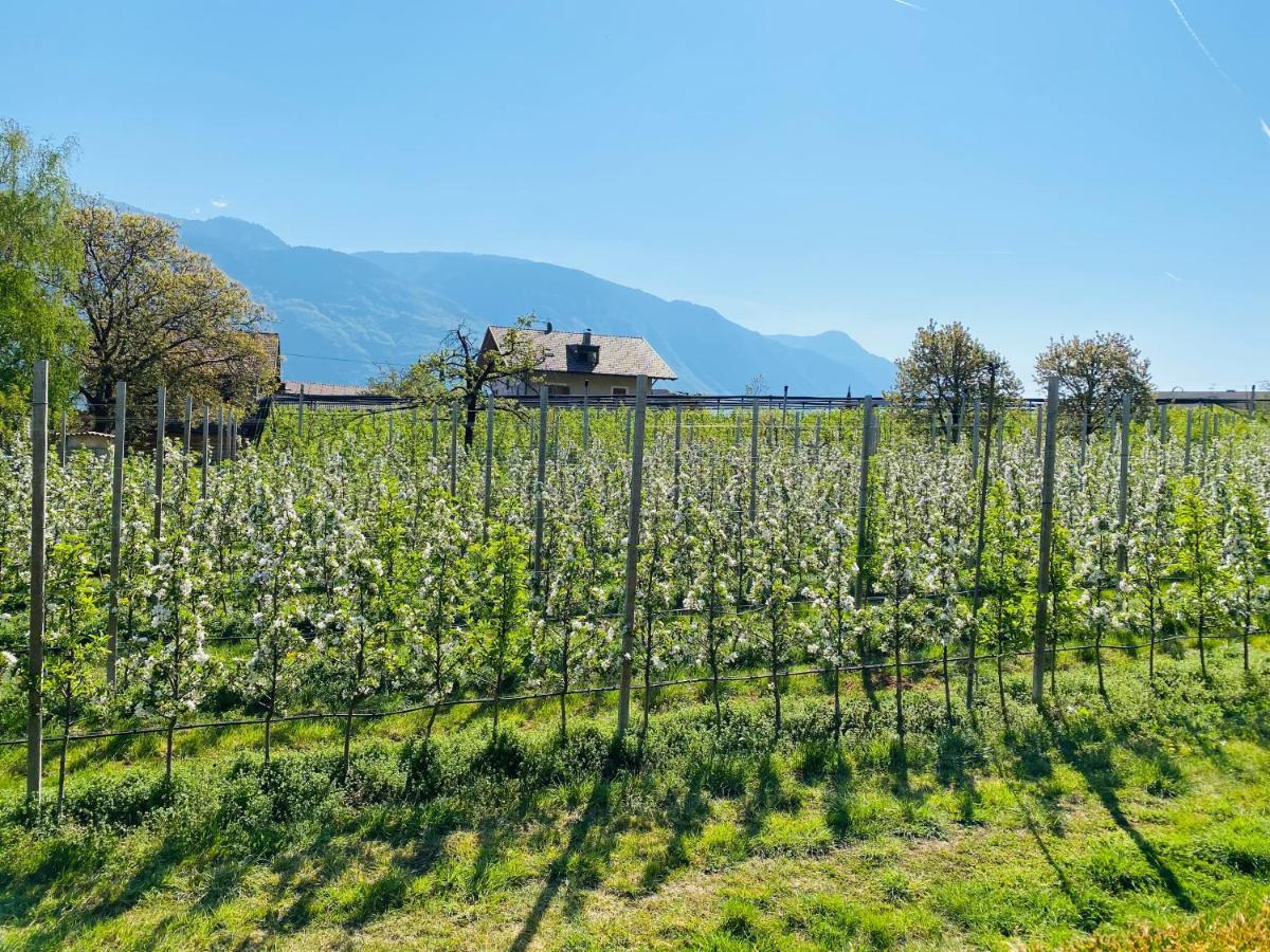 Pension Rebgut Bed & Breakfast Lana Exterior foto